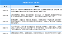 2025年中國大數(shù)據(jù)行業(yè)市場前景預(yù)測研究報告（簡版）