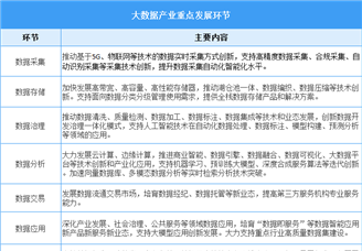 2025年中国大数据行业市场前景预测研究报告（简版）