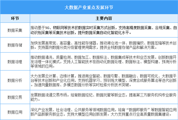 2025年中国大数据行业市场前景预测研究报告（简版）