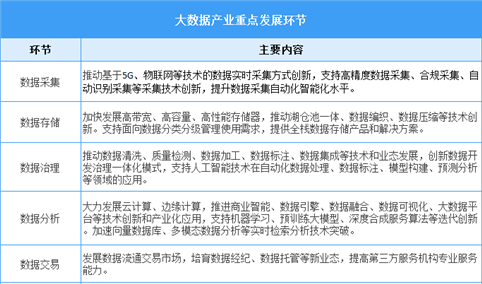 2025年中国大数据行业市场前景预测研究报告（简版）