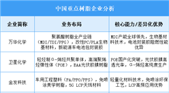 2025年中國樹脂重點(diǎn)企業(yè)業(yè)務(wù)布局預(yù)測分析（圖）