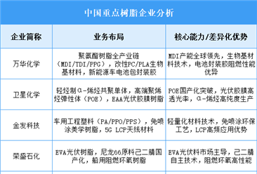 2025年中国树脂重点企业业务布局预测分析（图）