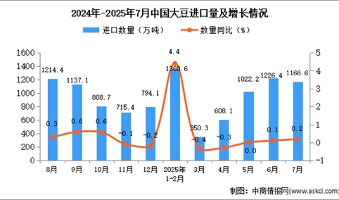 2025年7月中国大豆进口数据统计分析：进口量1166.6万吨