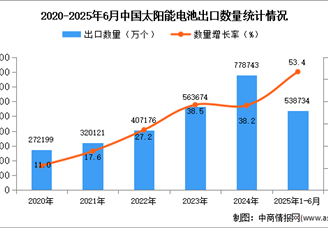 2025年1-6月中国太阳能电池出口数据统计分析：出口量同比增长53.4%