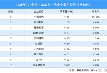 2025年7月中国三元动力电池企业装车量排行榜TOP10（附榜单）
