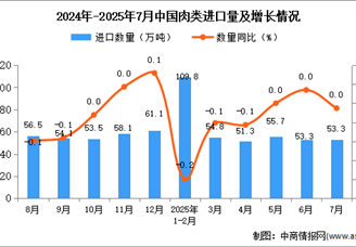 2025年7月中国肉类进口数据统计分析：进口量53.3万吨
