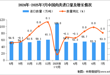 2025年7月中国肉类进口数据统计分析：进口量53.3万吨