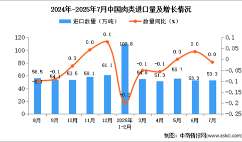 2025年7月中国肉类进口数据统计分析：进口量53.3万吨