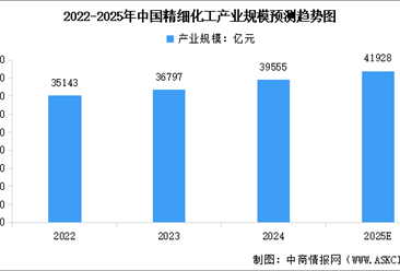 2025年中国精细化工行业市场前景预测研究报告（简版）