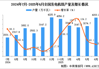 2025年6月全國發(fā)電機組產(chǎn)量數(shù)據(jù)統(tǒng)計分析