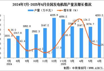 2025年6月全國發(fā)電機組產量數據統計分析