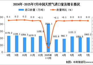 2025年7月中國天然氣進口數(shù)據(jù)統(tǒng)計分析：進口量1063.2萬噸