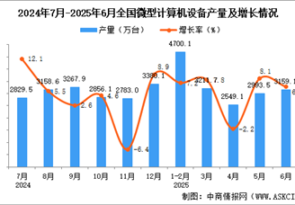 2025年6月全国微型计算机设备产量数据统计分析