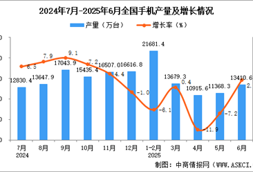 2025年6月全国手机产量数据统计分析