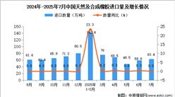 2025年7月中國天然及合成橡膠進口數(shù)據(jù)統(tǒng)計分析：進口量63.4萬噸