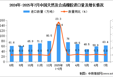 2025年7月中国天然及合成橡胶进口数据统计分析：进口量63.4万吨