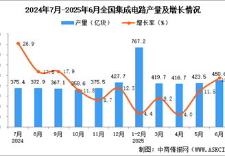 2025年6月全国集成电路产量数据统计分析