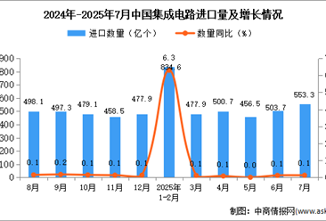 2025年7月中国集成电路进口数据统计分析：进口量553.3亿个