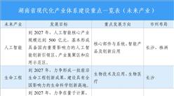 【投資湖南】2025年湖南省重點產(chǎn)業(yè)投資全景分析（附產(chǎn)業(yè)現(xiàn)狀、產(chǎn)業(yè)布局、重點園區(qū)分布等）