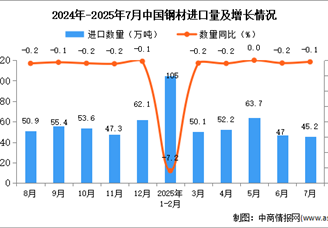 2025年7月中国钢材进口数据统计分析：进口量45.2万吨