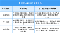 2025年中國(guó)起重機(jī)重點(diǎn)企業(yè)業(yè)務(wù)布局預(yù)測(cè)分析（圖）