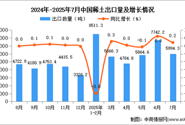 2025年7月中國稀土出口數(shù)據(jù)統(tǒng)計(jì)分析：出口量5994.3噸