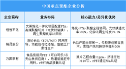 2025年中國聚酯重點企業(yè)業(yè)務布局預測分析（圖）