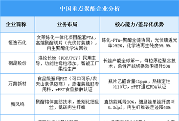 2025年中國聚酯重點(diǎn)企業(yè)業(yè)務(wù)布局預(yù)測分析（圖）