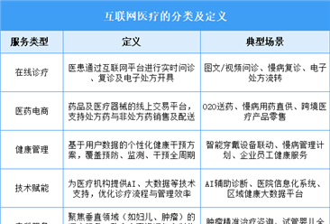 2025年中国互联网医疗行业市场前景预测研究报告（简版）