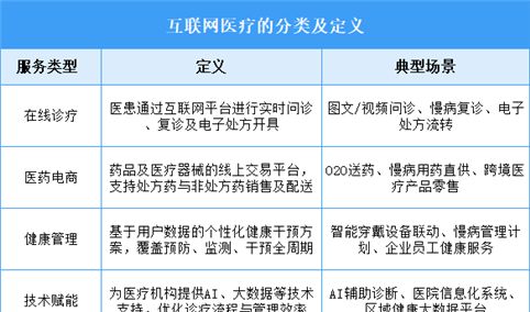 2025年中国互联网医疗行业市场前景预测研究报告（简版）