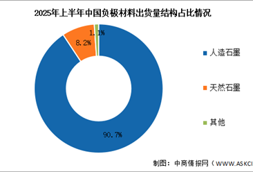 2025年中国负极材料市场现状及发展前景预测分析（图）