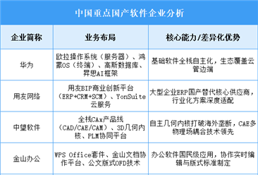 2025年中国国产软件重点企业业务布局分析（图）
