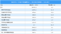 2025年1-7月全國規(guī)上工業(yè)企業(yè)營業(yè)收入同比增長2.3%（圖）