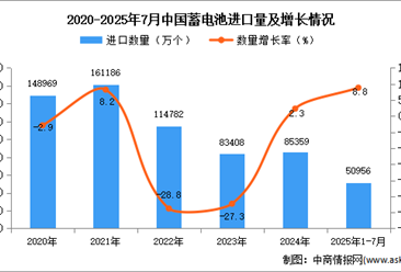 2025年1-7月中國蓄電池進口數(shù)據(jù)統(tǒng)計分析：進口量50956萬個