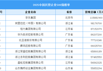 2025中國(guó)民營(yíng)企業(yè)500強(qiáng)榜單（附名單）