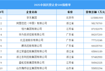 2025中国民营企业500强榜单（附名单）
