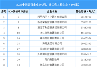 2025中國民營企業(yè)500強：浙江省上榜企業(yè)（107家）