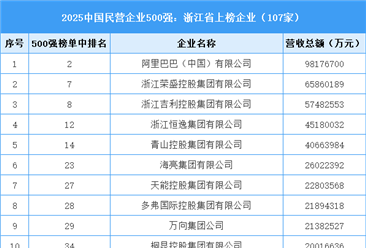 2025中国民营企业500强：浙江省上榜企业（107家）