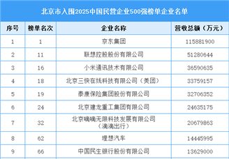 北京市入圍“2025中國民營企業(yè)500強榜單”企業(yè)名單（22家）