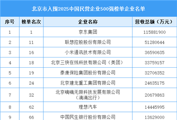 北京市入围“2025中国民营企业500强榜单”企业名单（22家）