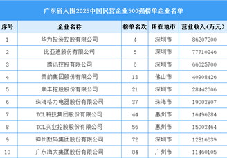 廣東省入圍“2025中國民營企業(yè)500強榜單”企業(yè)名單（51家）