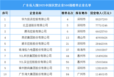 广东省入围“2025中国民营企业500强榜单”企业名单（51家）