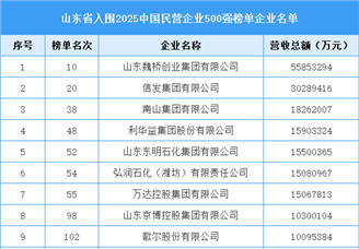 山東省入圍“2025中國民營企業(yè)500強榜單”企業(yè)名單（51家）