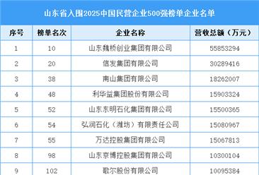 山东省入围“2025中国民营企业500强榜单”企业名单（51家）