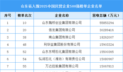 山东省入围“2025中国民营企业500强榜单”企业名单（51家）