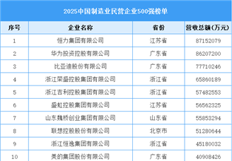 2025中國制造業(yè)民營企業(yè)500強榜單（附名單）