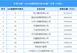 江蘇入圍“2025中國民營企業(yè)500強”名單（90家）