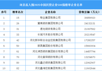 河北省入圍“2025中國民營企業(yè)500強榜單”企業(yè)名單（32家）