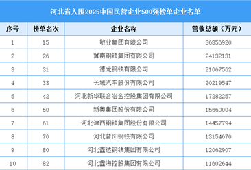河北省入围“2025中国民营企业500强榜单”企业名单（32家）