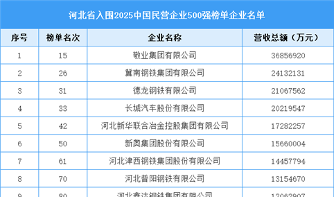河北省入围“2025中国民营企业500强榜单”企业名单（32家）